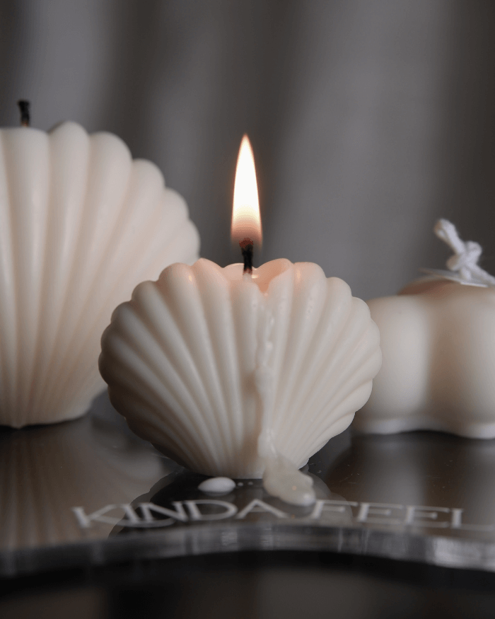 Nến thơm vỏ sò sea shell Nến thơm vỏ sò sea shell