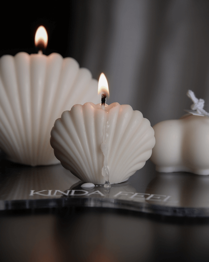 Nến thơm vỏ sò bằng sáp đậu nành Nến thơm vỏ sò bằng sáp đậu nành