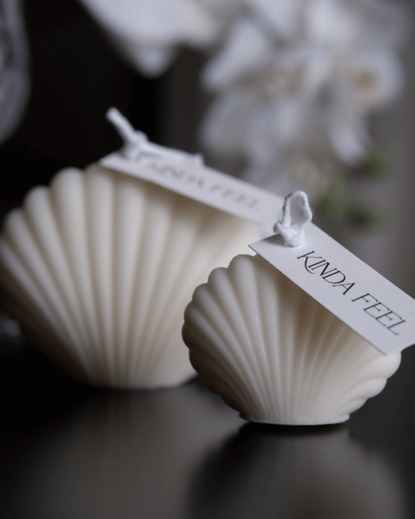 Shell Collection 3 Nến thơm hình vỏ sò nhỏ